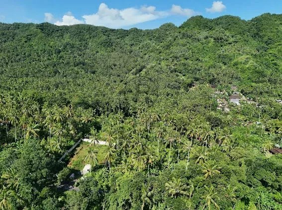 Land, For Sale Land, For Sale