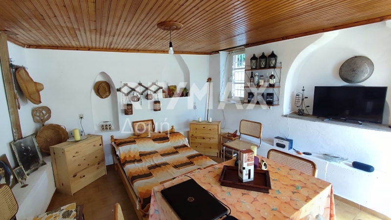 3 Bed, 2 Bath, HouseFor Sale, Agios Dimitrios, Mouresi, Magnesia