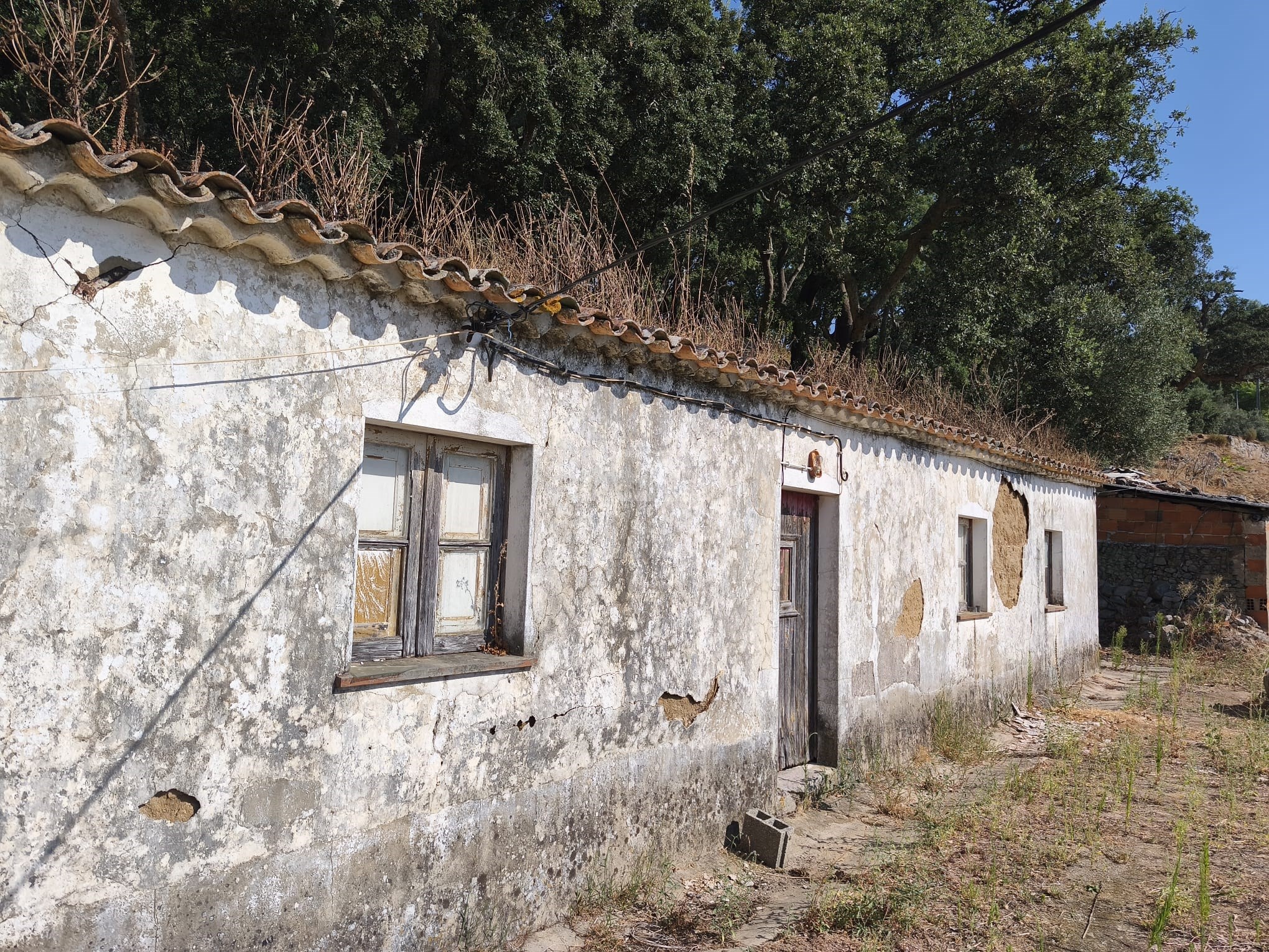 Land, For Sale