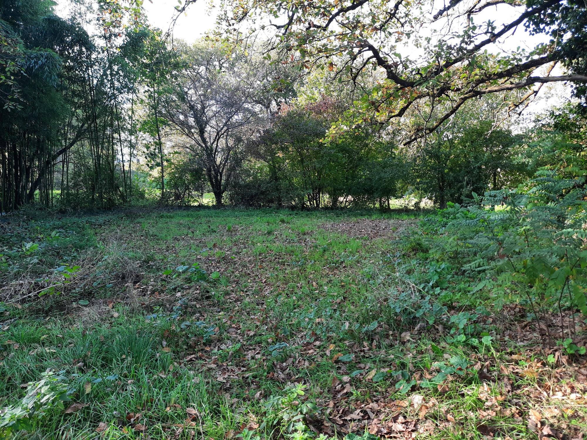 Commercial Property, For Sale