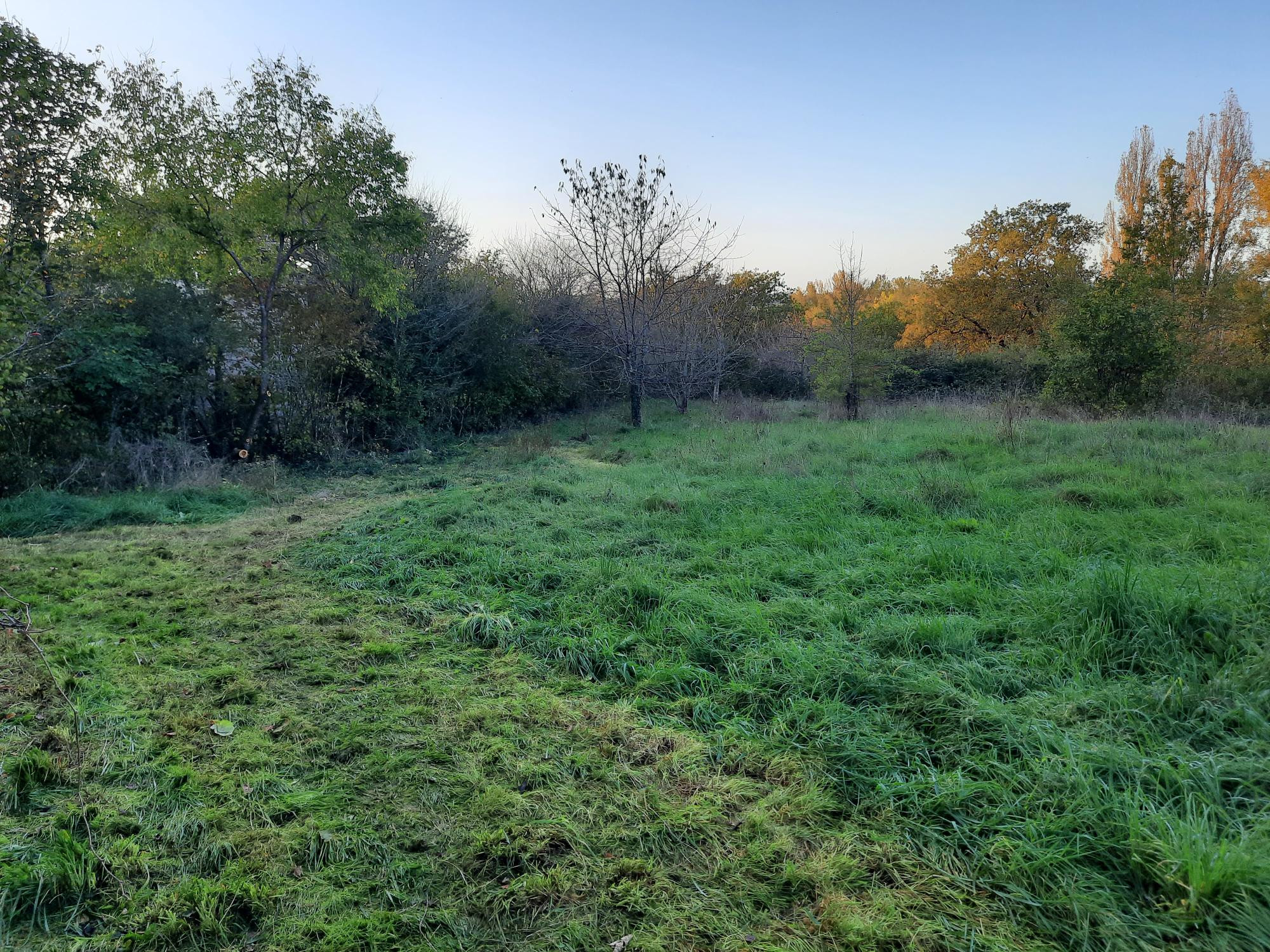 Commercial Property, For Sale