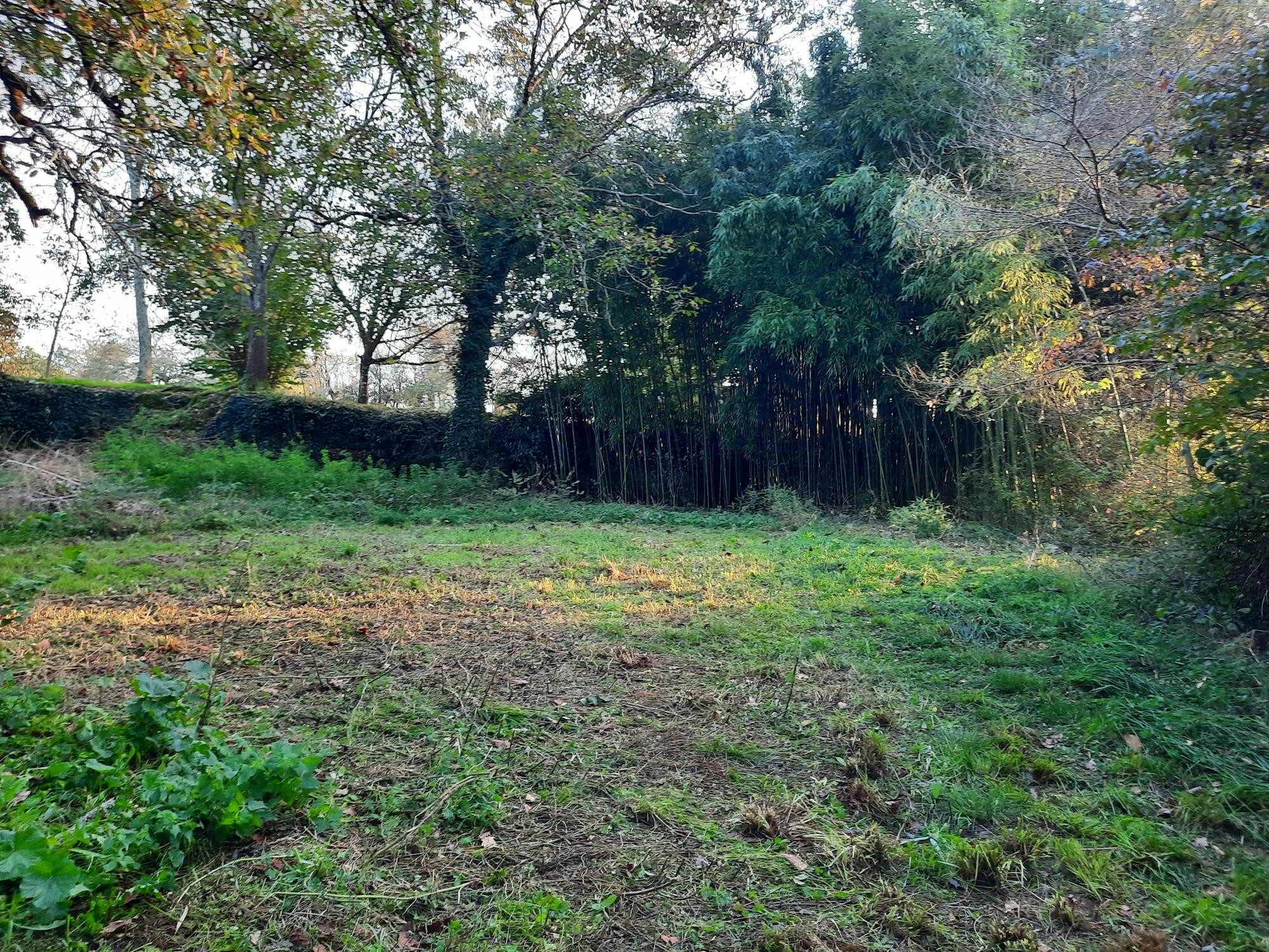 Commercial Property, For Sale