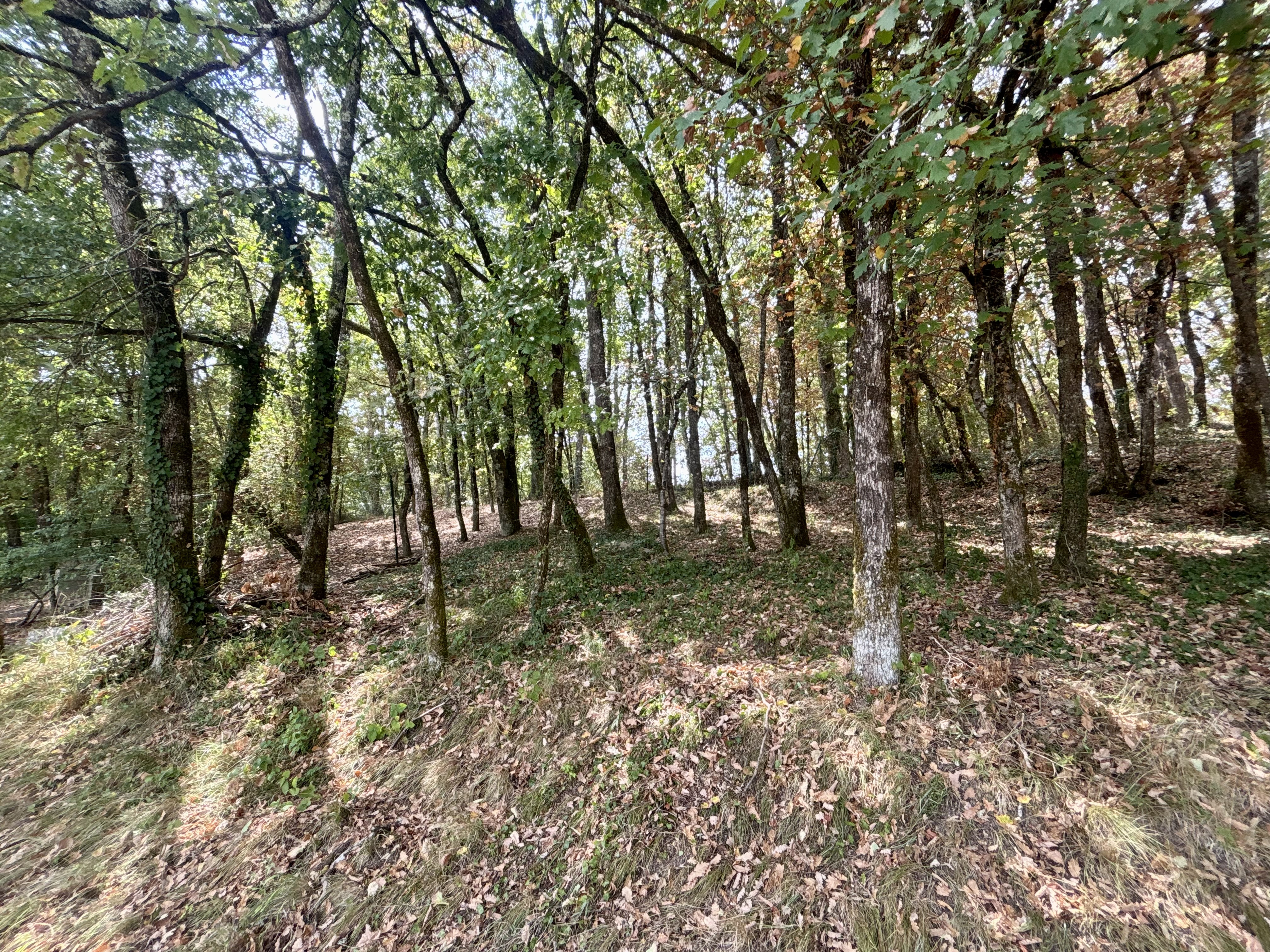 4 Bed, HouseFor Sale, La Croix Blanche, Lot-et-Garonne, Aquitaine, 47340