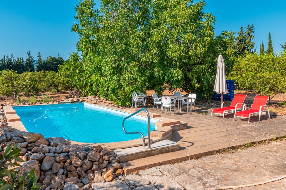 Marratxí, Baleares, 2 Bedrooms Bedrooms, ,1 BathroomBathrooms,For Sale,T-128/7006 Marratxí, Baleares, 2 Bedrooms Bedrooms, ,1 BathroomBathrooms,For Sale,T-128/7006