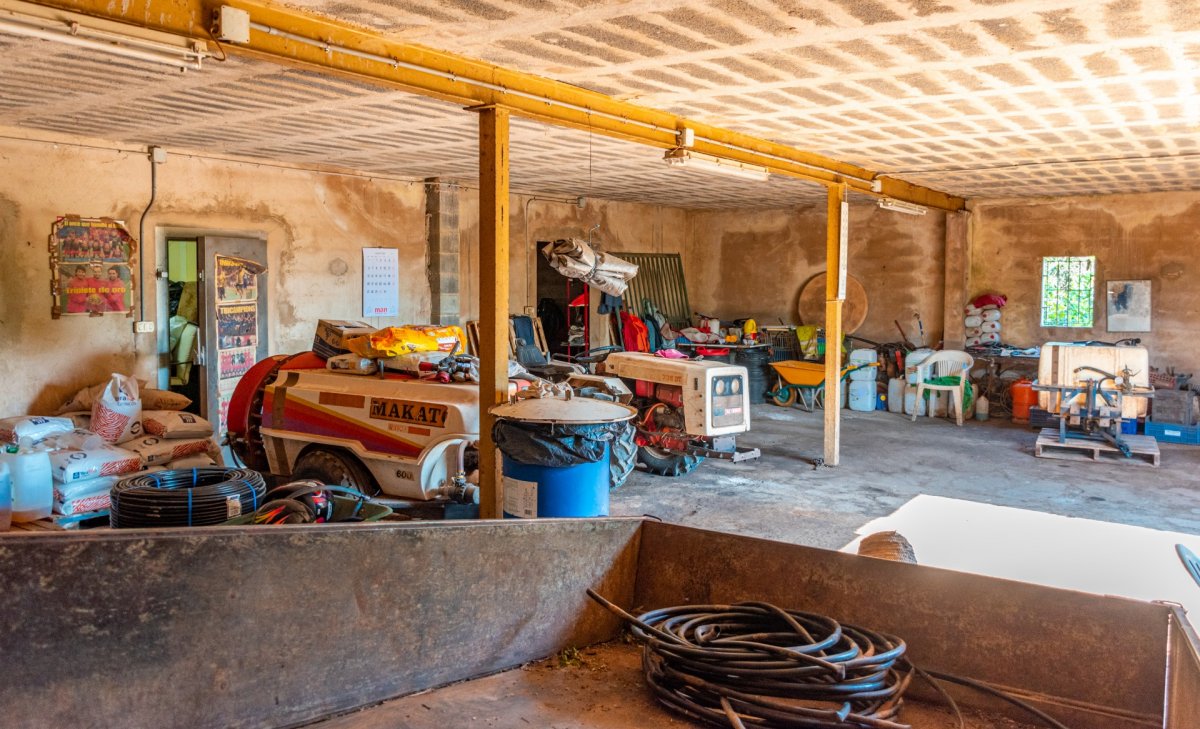 Marratxí, Baleares, 2 Bedrooms Bedrooms, ,1 BathroomBathrooms,For Sale,T-128/7006 Marratxí, Baleares, 2 Bedrooms Bedrooms, ,1 BathroomBathrooms,For Sale,T-128/7006