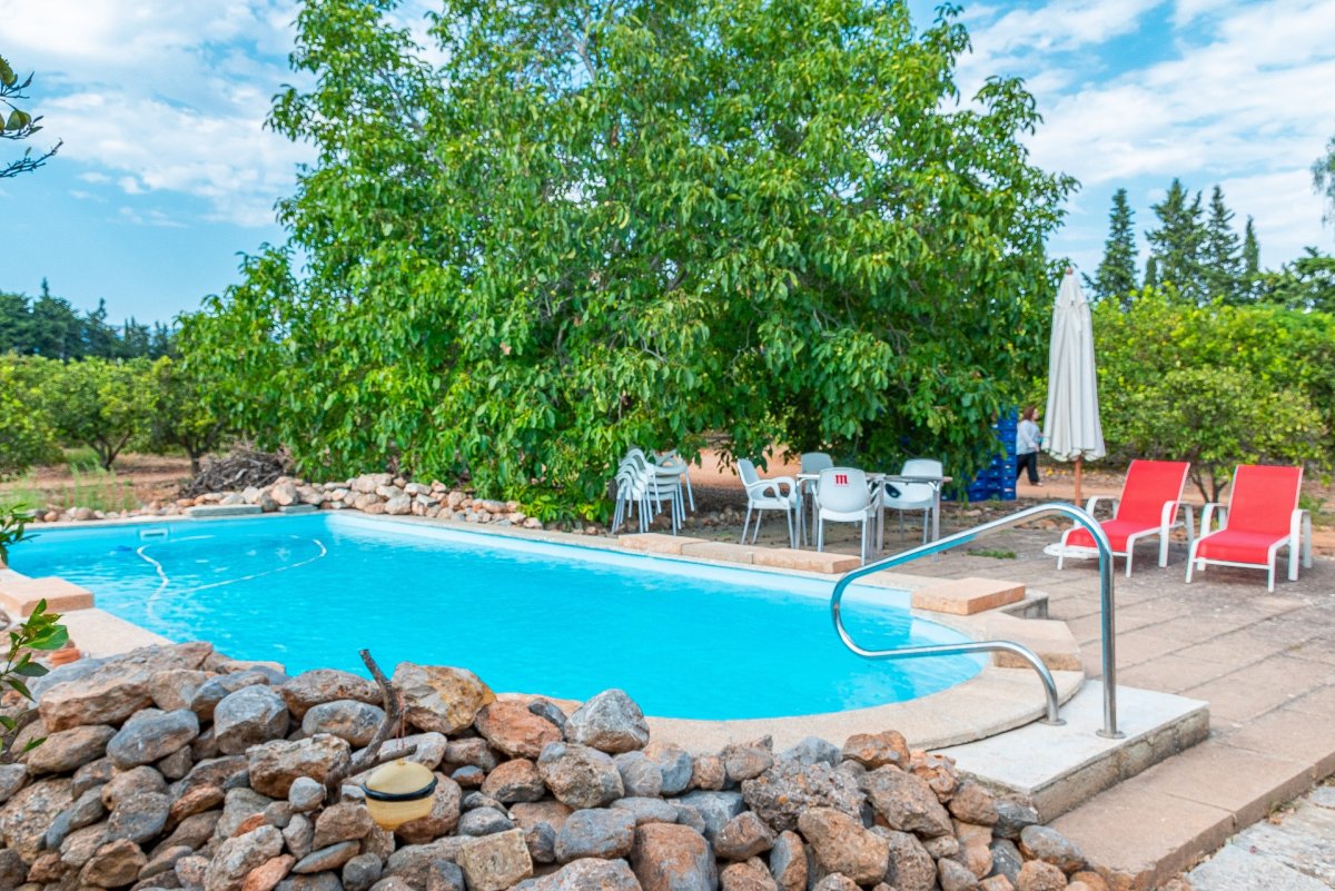 Marratxí, Baleares, 2 Bedrooms Bedrooms, ,1 BathroomBathrooms,For Sale,T-128/7006 Marratxí, Baleares, 2 Bedrooms Bedrooms, ,1 BathroomBathrooms,For Sale,T-128/7006