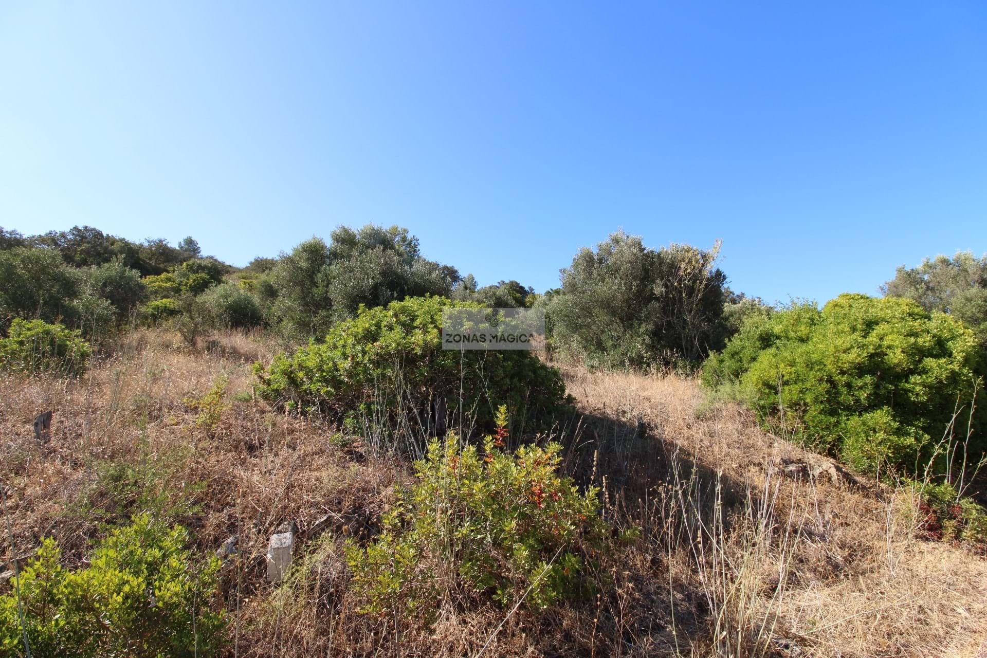Land, For Sale