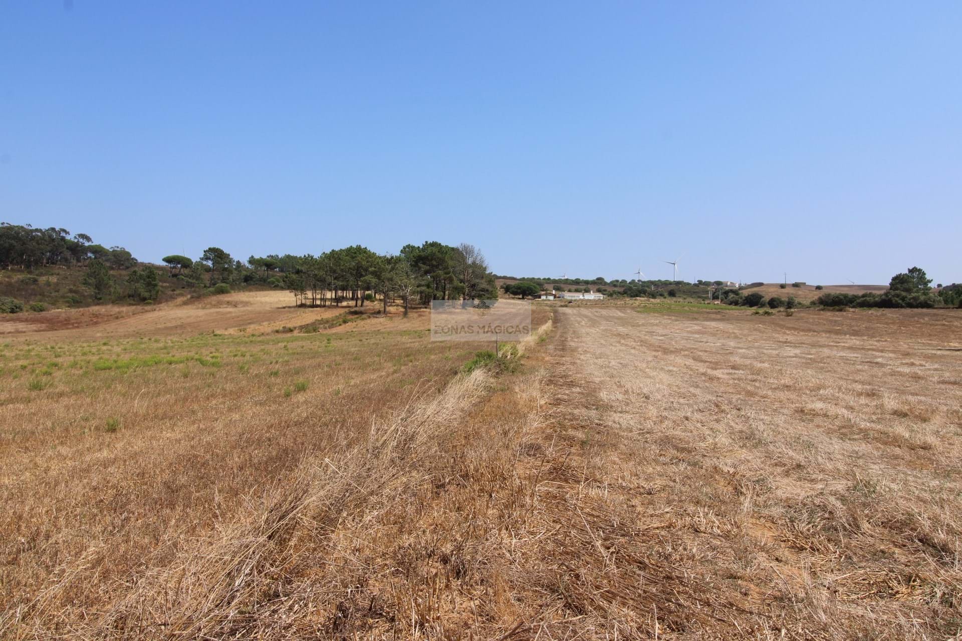 Land, For Sale