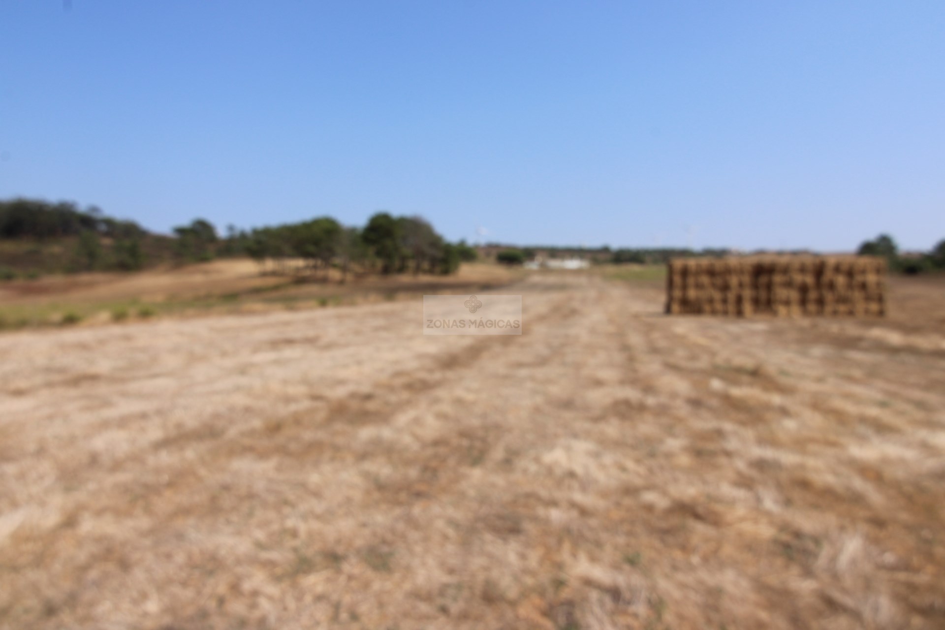 Land, For Sale