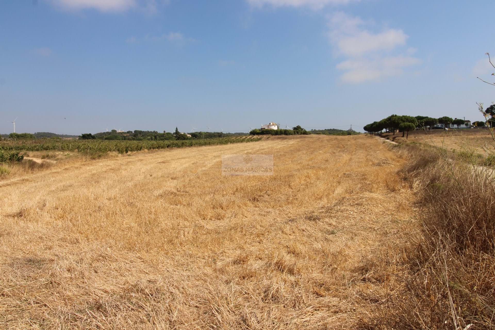 Land, For Sale