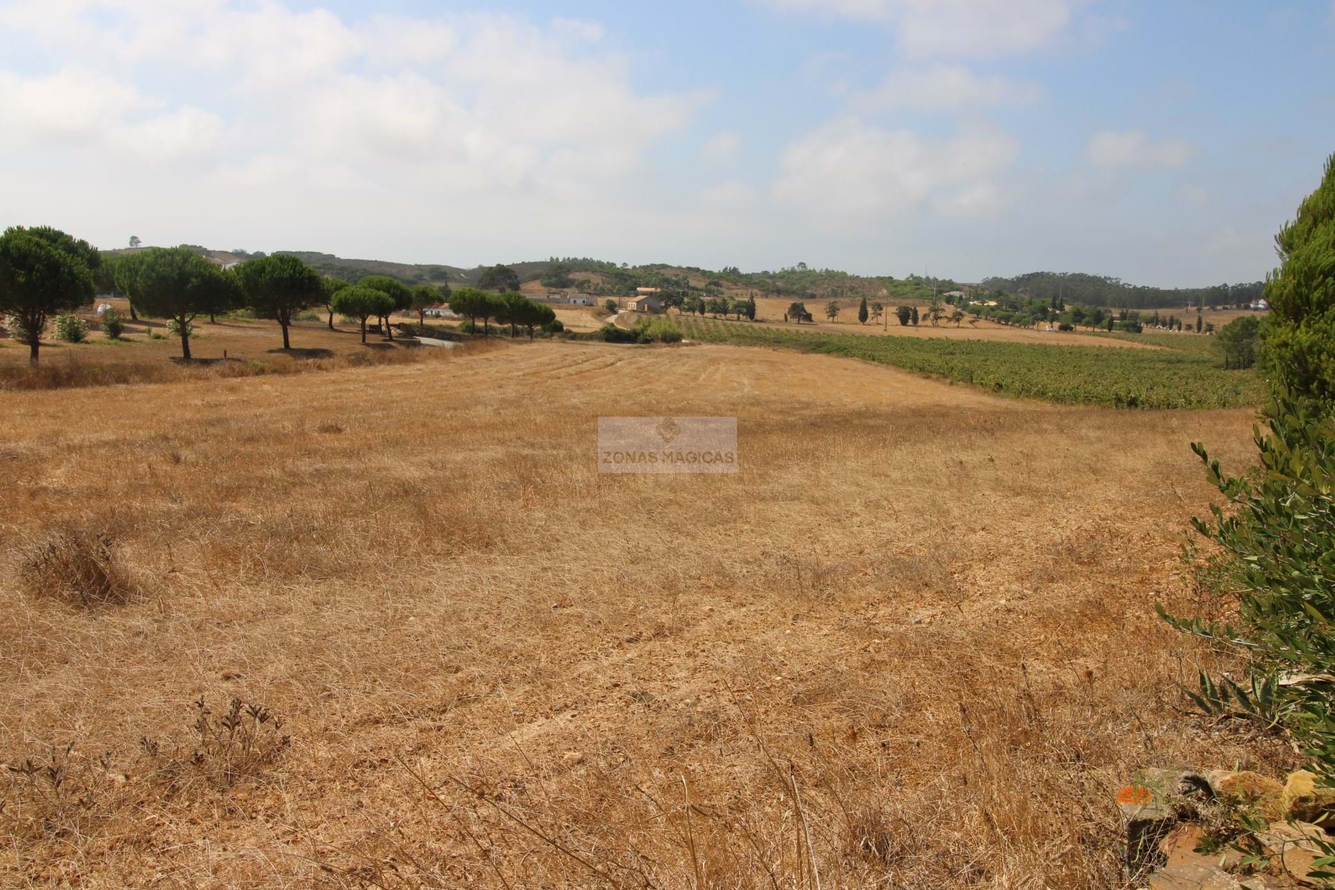 Land, For Sale