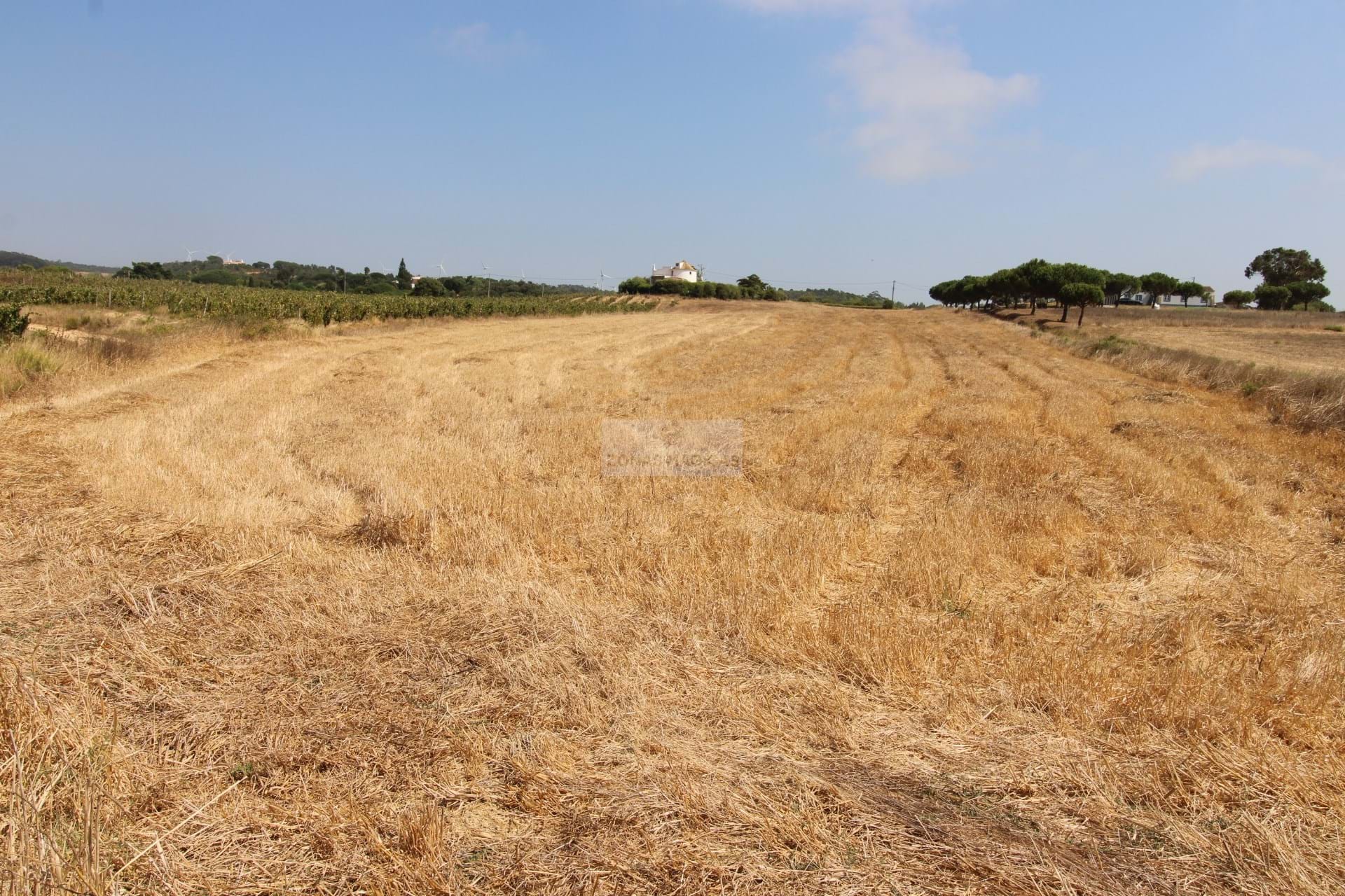 Land, For Sale