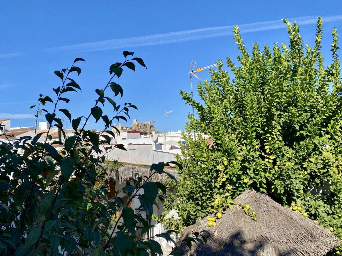 2 Bed, 3 Bath, HouseFor Sale, Olvera, Andalucia