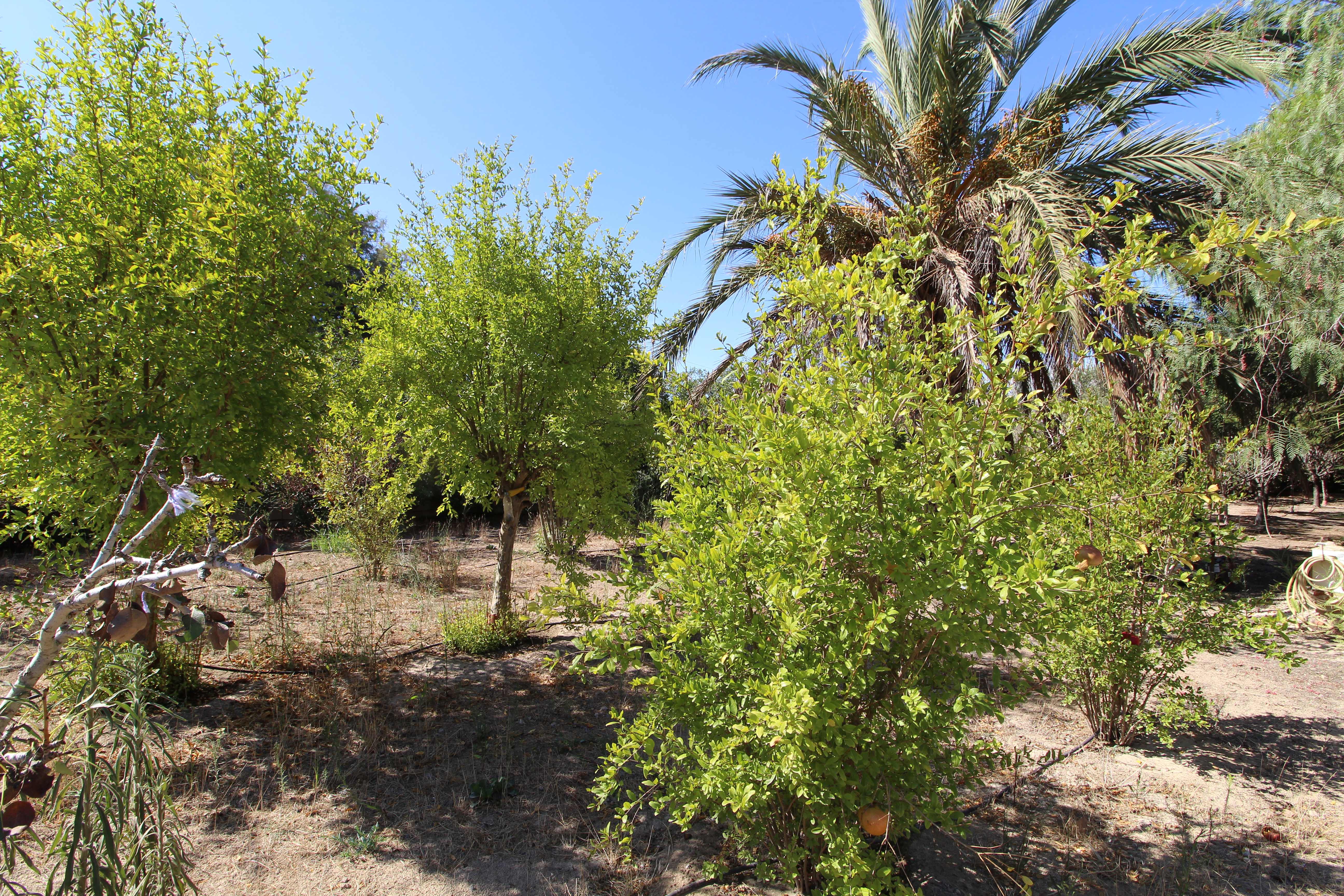 2 Bed, 1 Bath, HouseFor Sale, Elche, Alicante