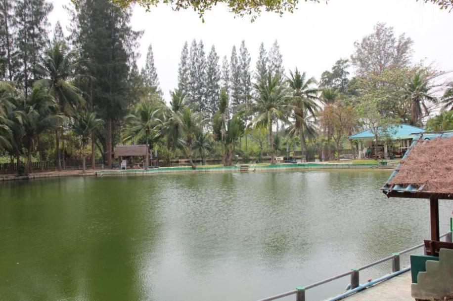 Commercial Property, For Sale