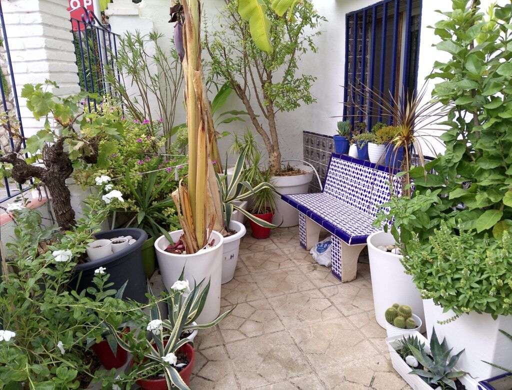 5 Bed, 2 Bath, HouseFor Sale, Oliva, Valencia, 46780