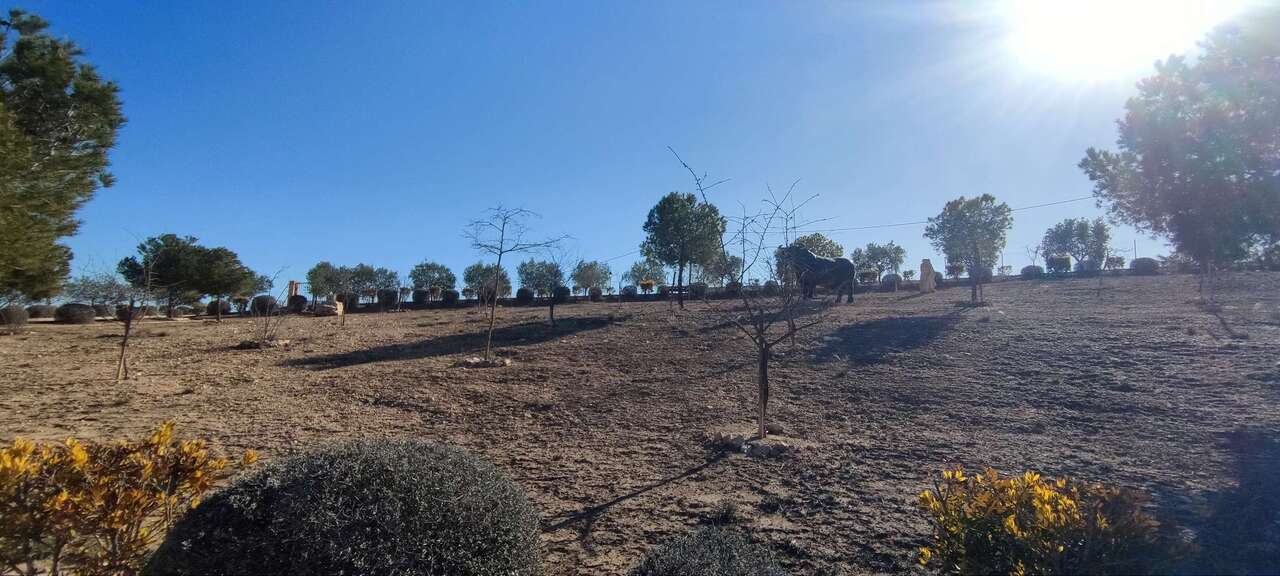 3 Bed, 2 Bath, HouseFor Sale, Pinoso, Alicante, 03650