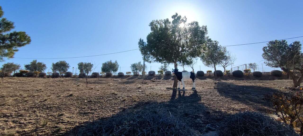 3 Bed, 2 Bath, HouseFor Sale, Pinoso, Alicante, 03650