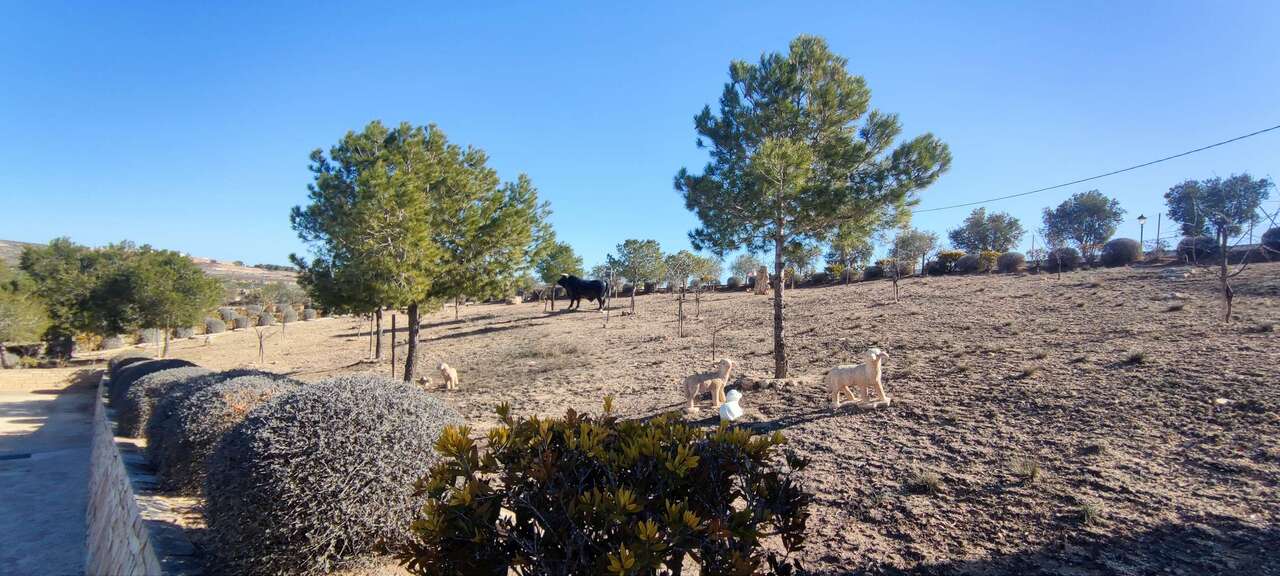 3 Bed, 2 Bath, HouseFor Sale, Pinoso, Alicante, 03650