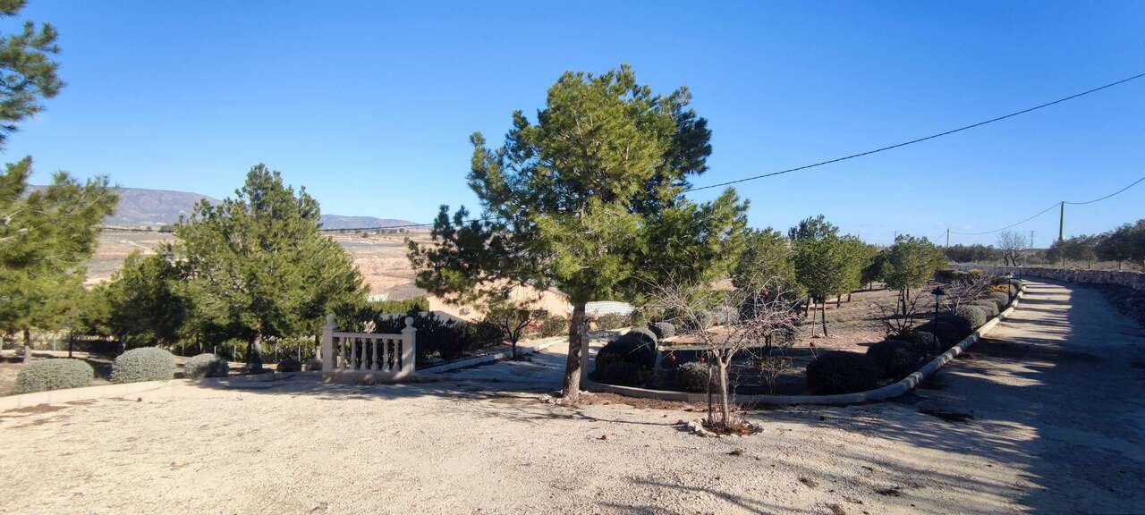 3 Bed, 2 Bath, HouseFor Sale, Pinoso, Alicante, 03650