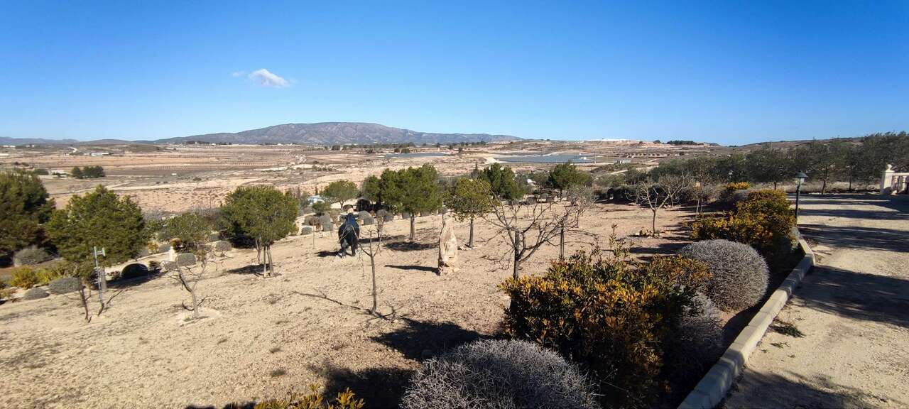 3 Bed, 2 Bath, HouseFor Sale, Pinoso, Alicante, 03650