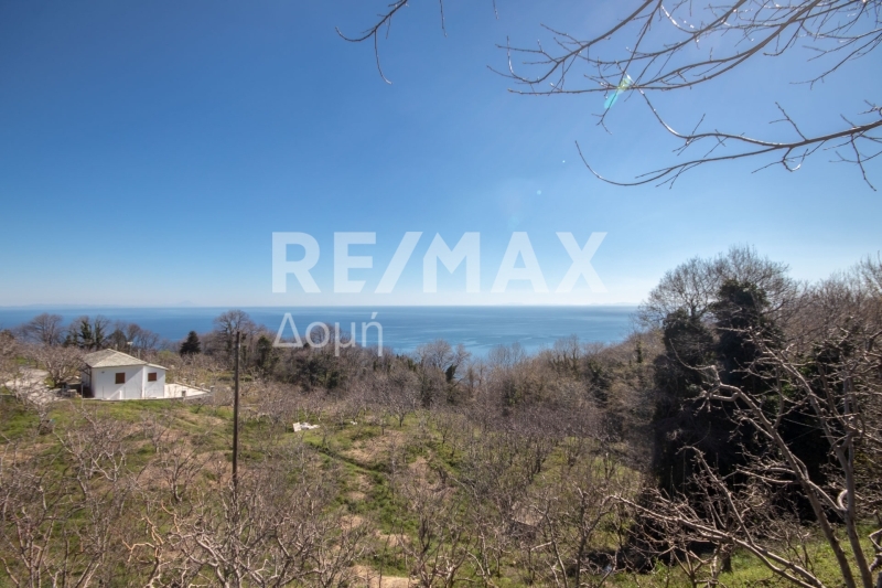 HouseFor Sale, Center, Zagora, Magnesia