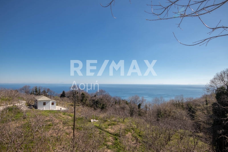 HouseFor Sale, Center, Zagora, Magnesia