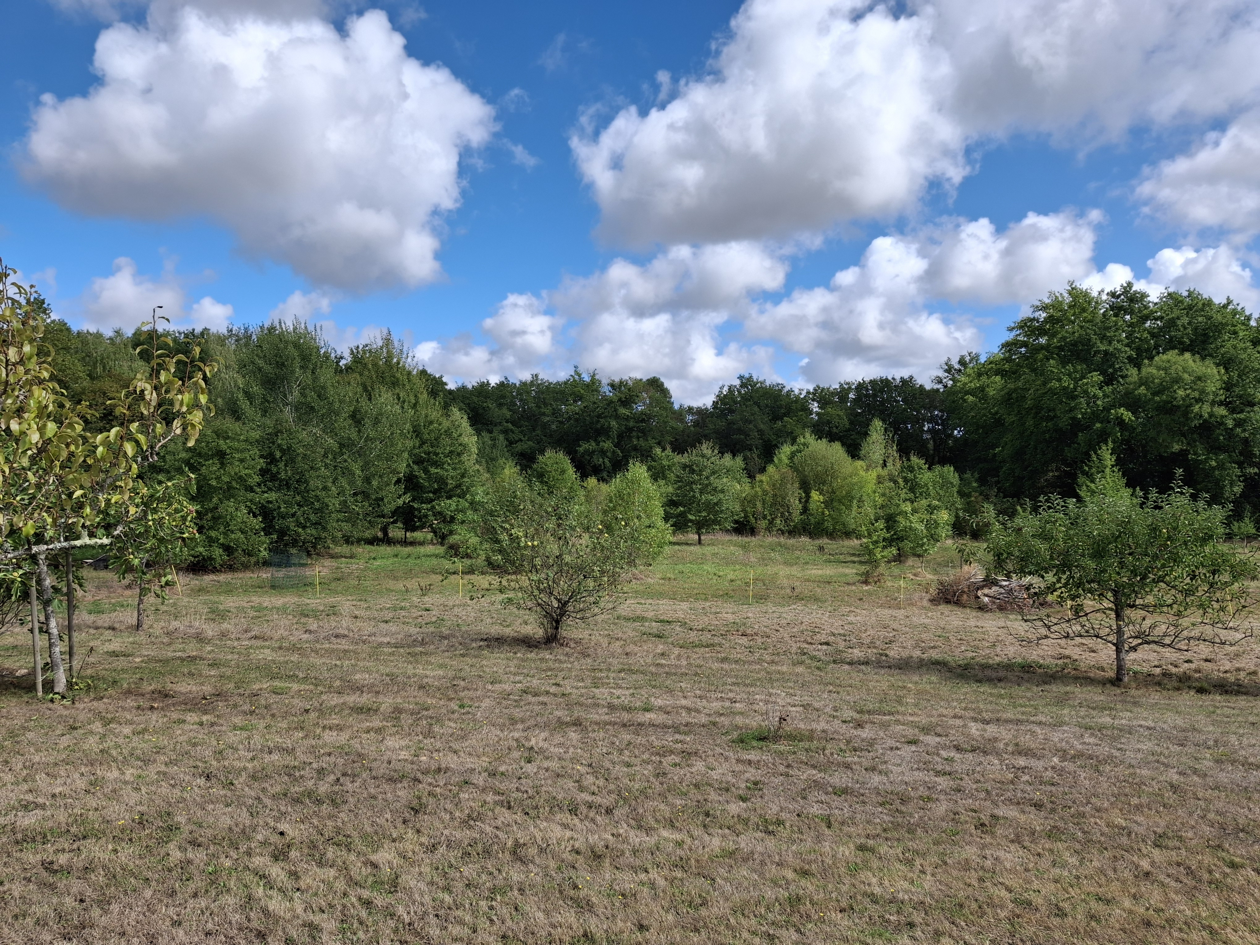 4 Bed, HouseFor Sale, Castillonnes, Lot-et-Garonne, Aquitaine, 47330