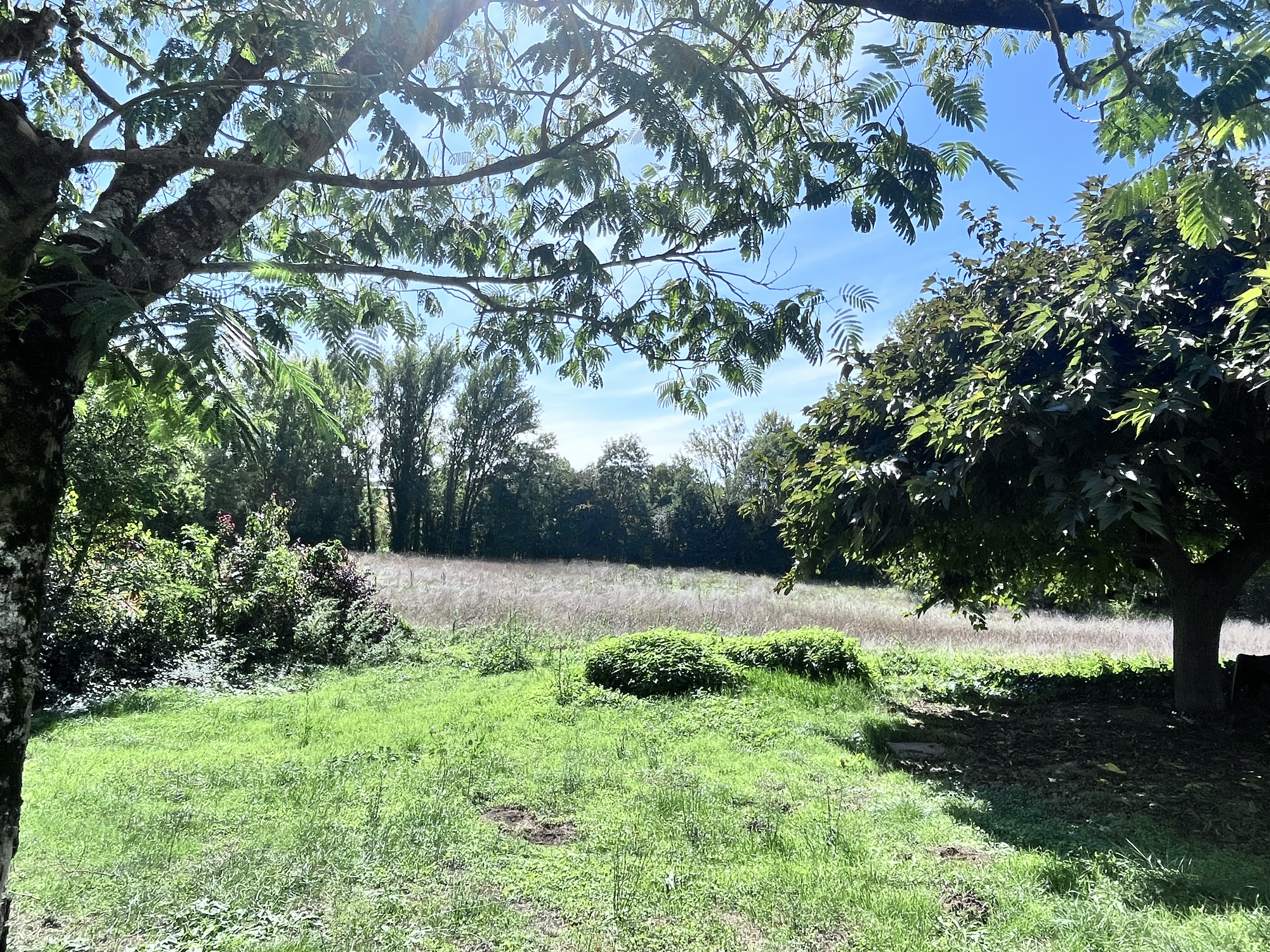 5 Bed, 1 Bath, HouseFor Sale, Allemans du dropt, Lot-et-Garonne, Aquitaine, 47800