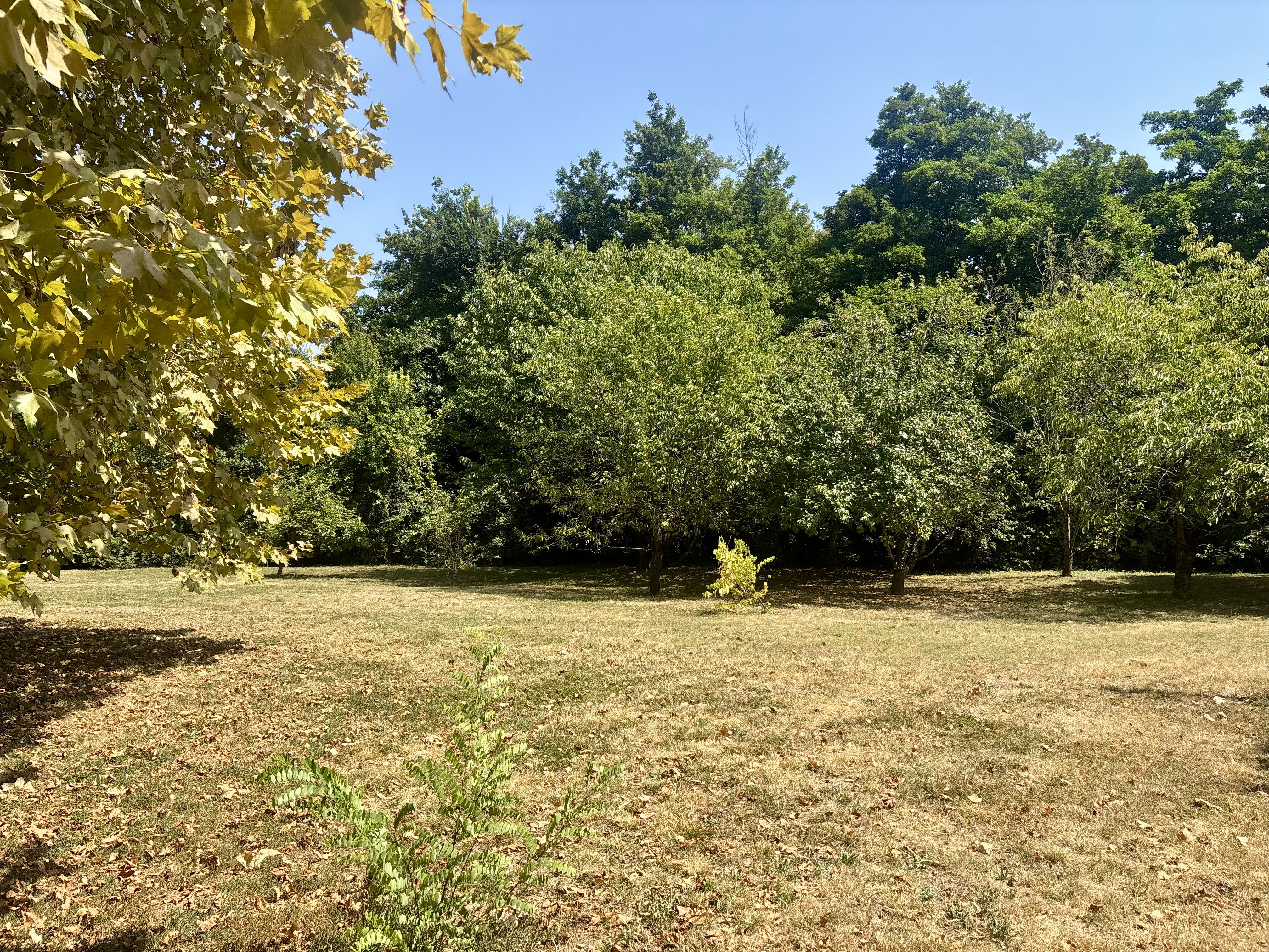 6 Bed, 1 Bath, HouseFor Sale, Pont Du Casse, Lot-et-Garonne, Aquitaine, 47480