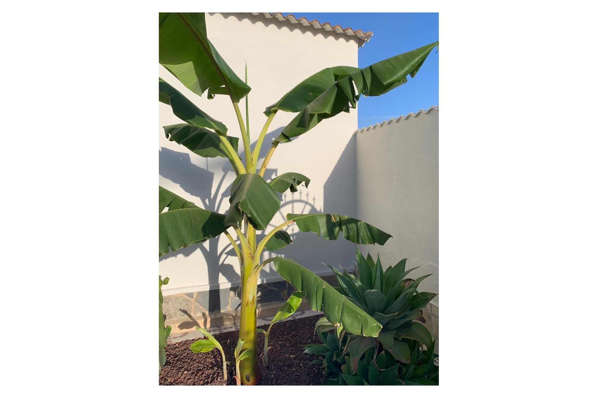 Ciudad Quesada, Alicante, 4 Bedrooms Bedrooms, ,3 BathroomsBathrooms,For Sale,6401Q