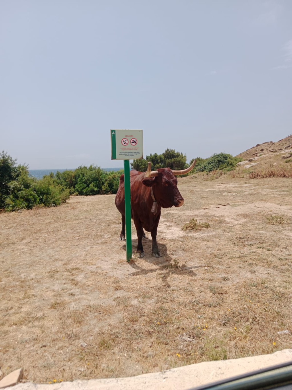 Commercial Property, For Sale