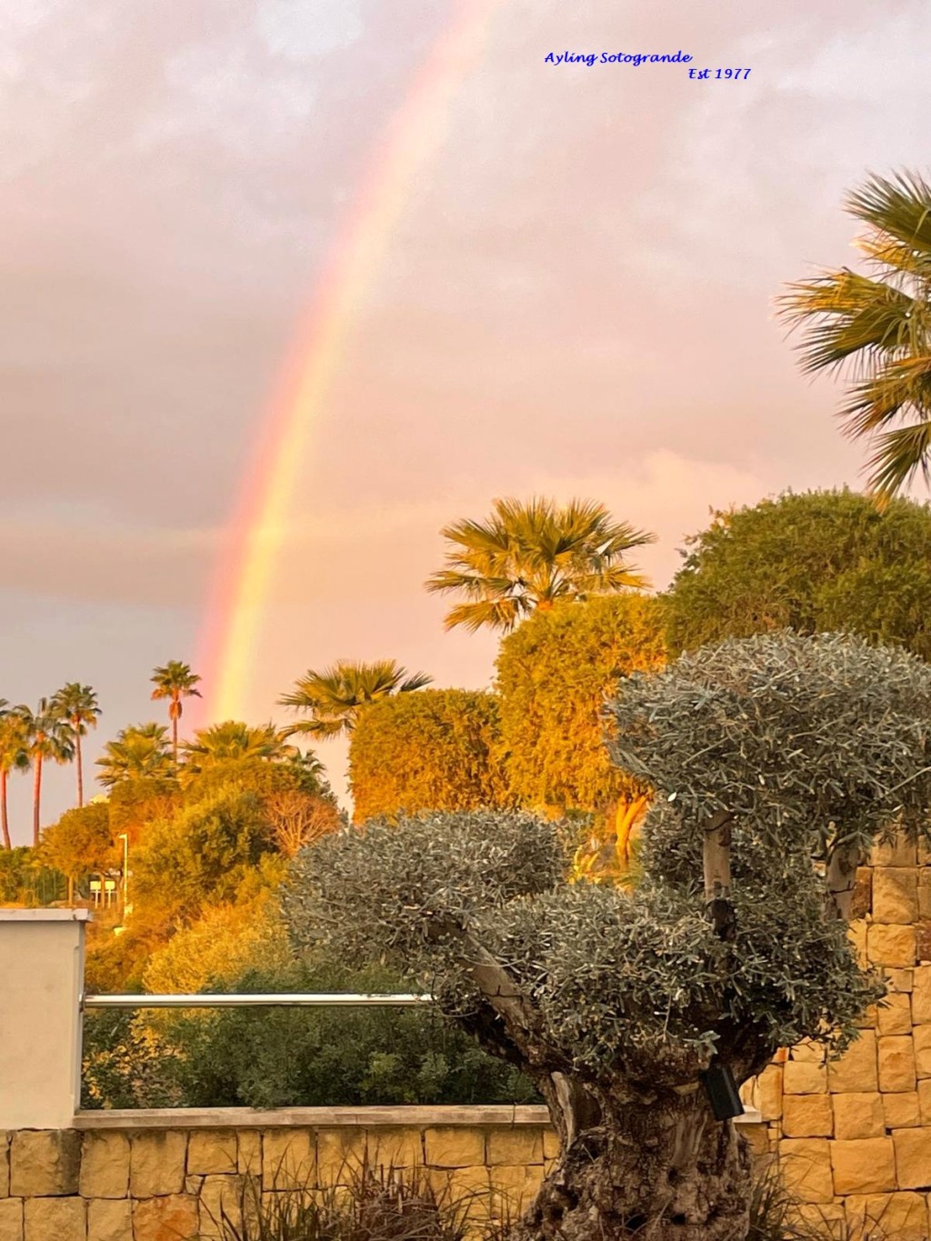 5 Bed, 7 Bath, HouseFor Sale, Sotogrande, Cadiz