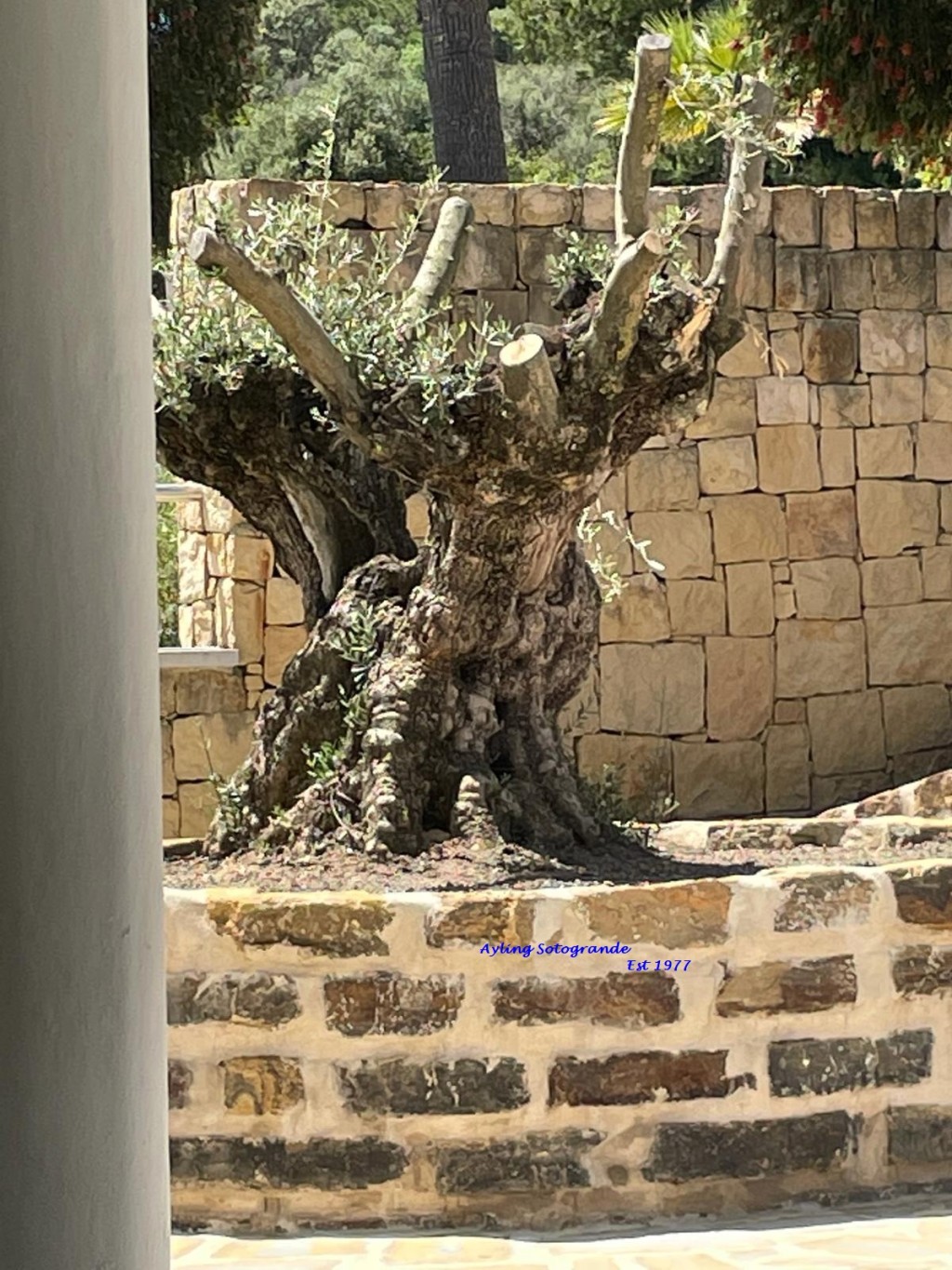 5 Bed, 7 Bath, HouseFor Sale, Sotogrande, Cadiz