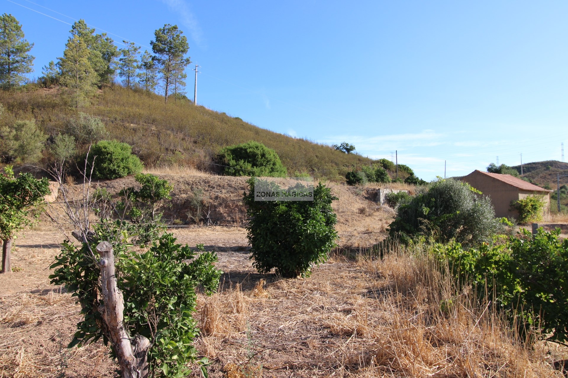 Land, For Sale