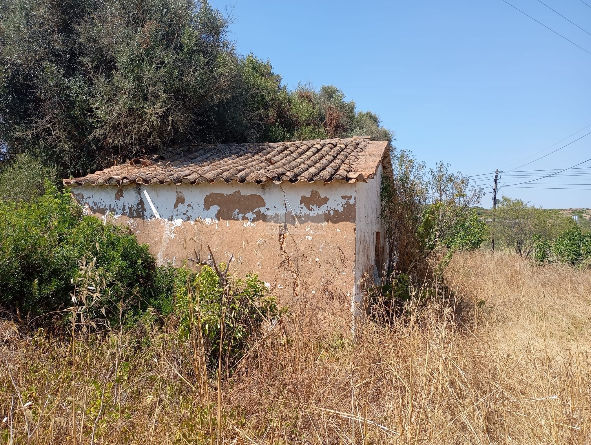 Land, For Sale Land, For Sale