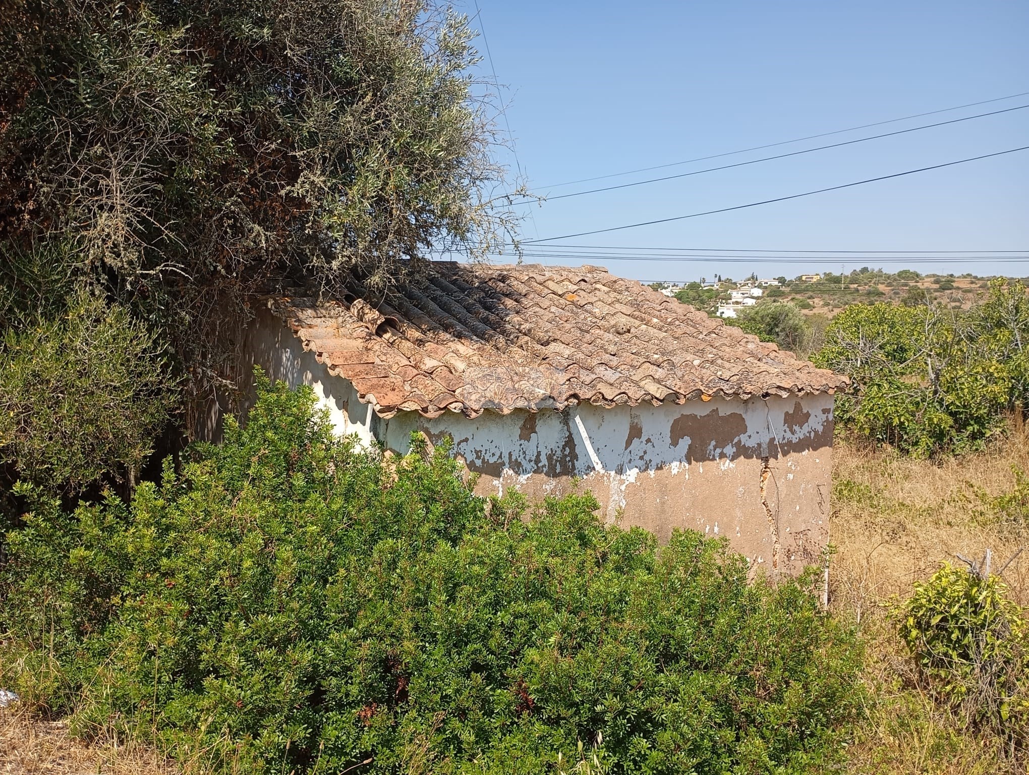 Land, For Sale Land, For Sale