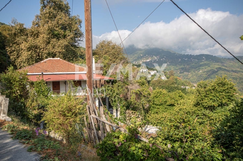 3 Bed, HouseFor Sale, Center, Mouresi, Magnesia