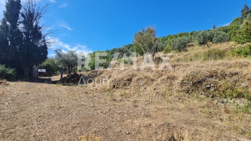 HouseFor Sale, Main town - Chora, Skopelos, Sporades