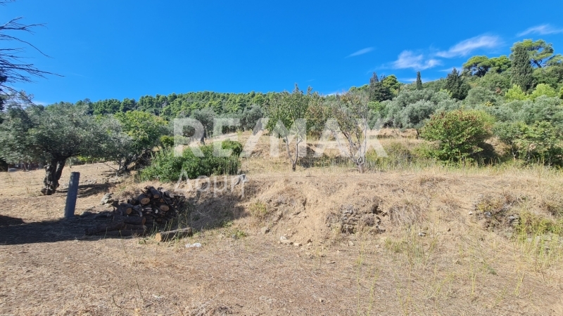 HouseFor Sale, Main town - Chora, Skopelos, Sporades