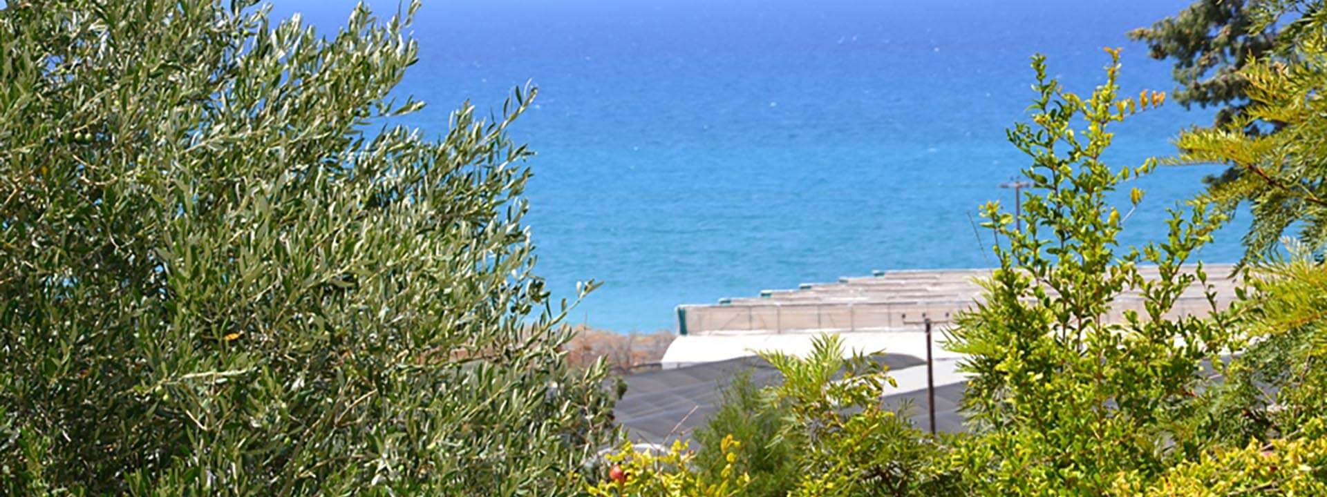 HouseFor Sale, Polis HouseFor Sale, Polis