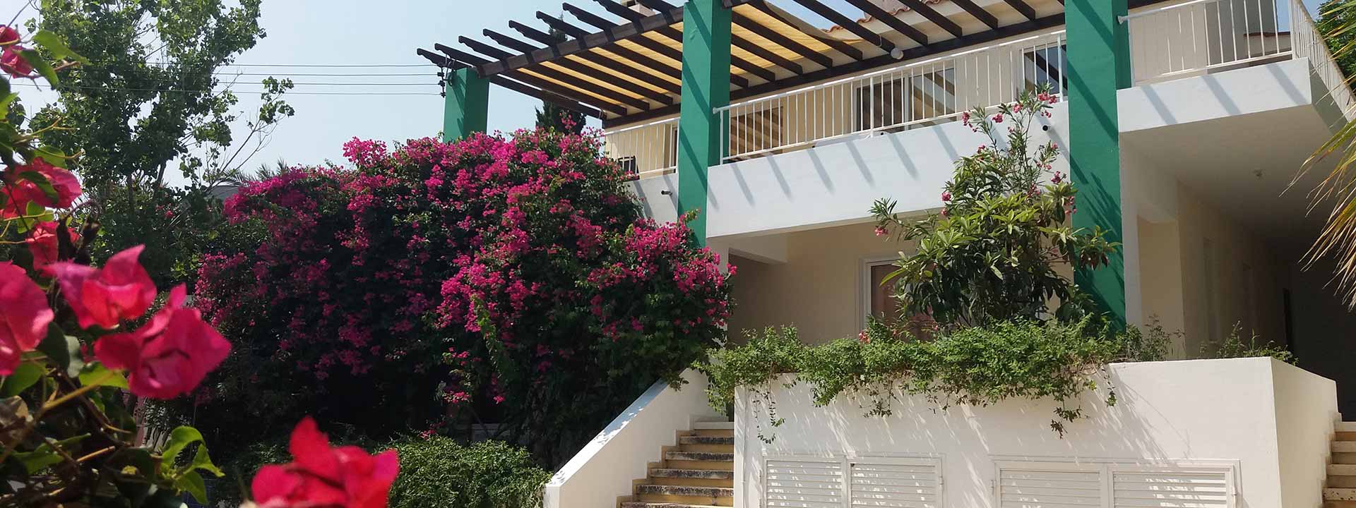 HouseFor Sale, Polis