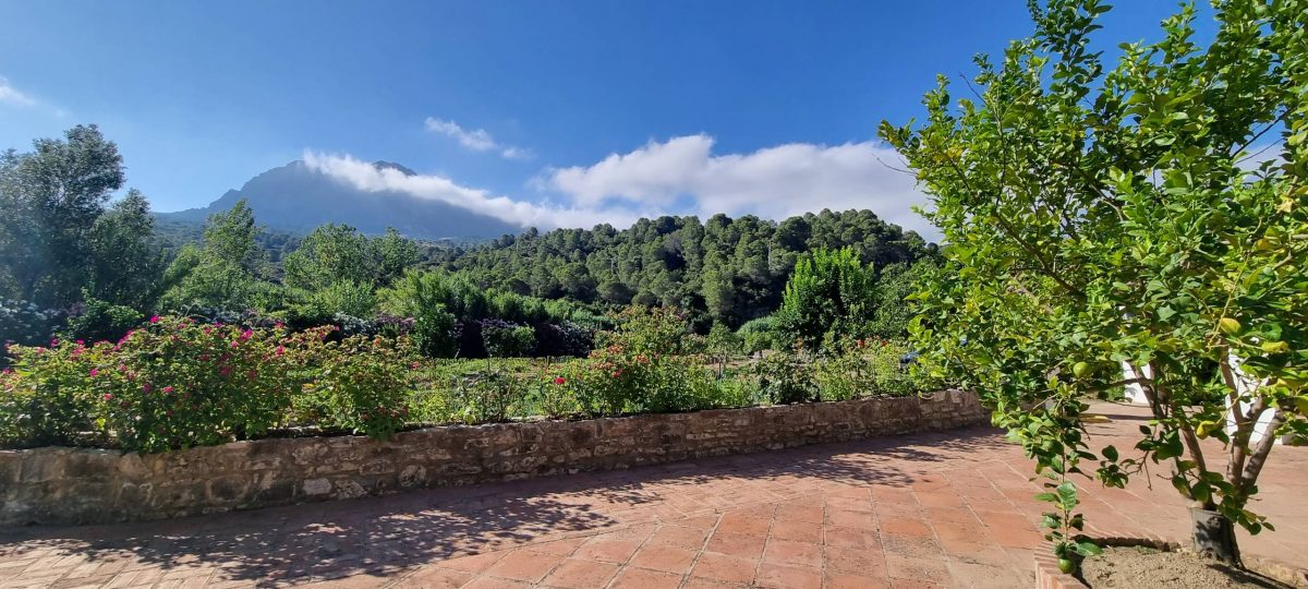 Commercial Property, For Sale