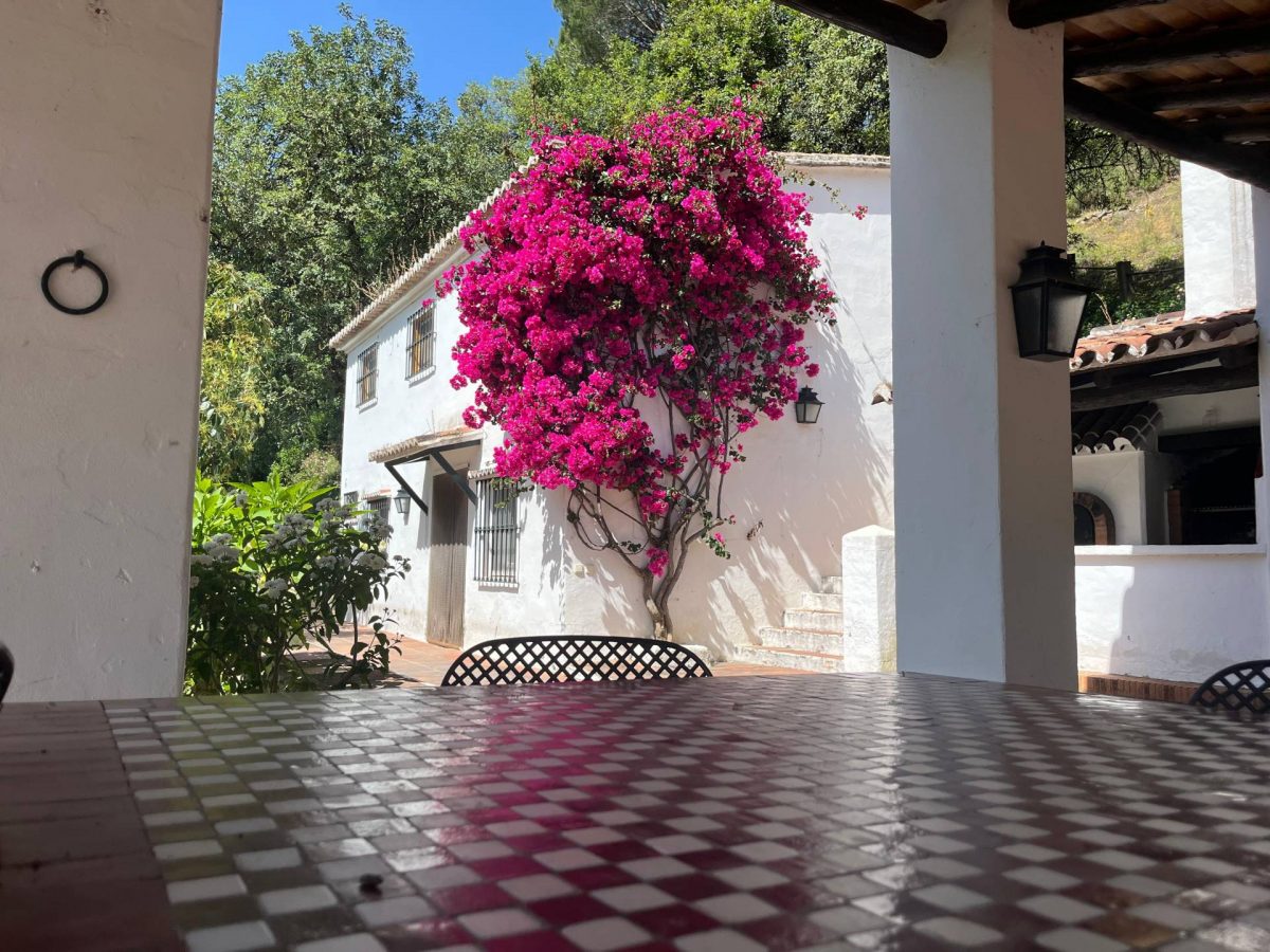 Commercial Property, For Sale