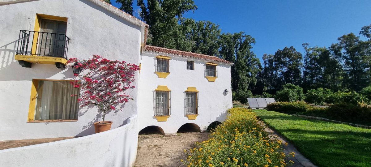 Commercial Property, For Sale