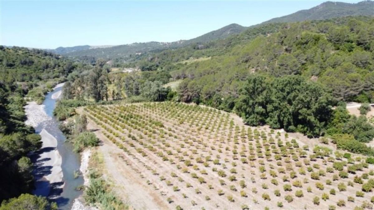 Commercial Property, For Sale