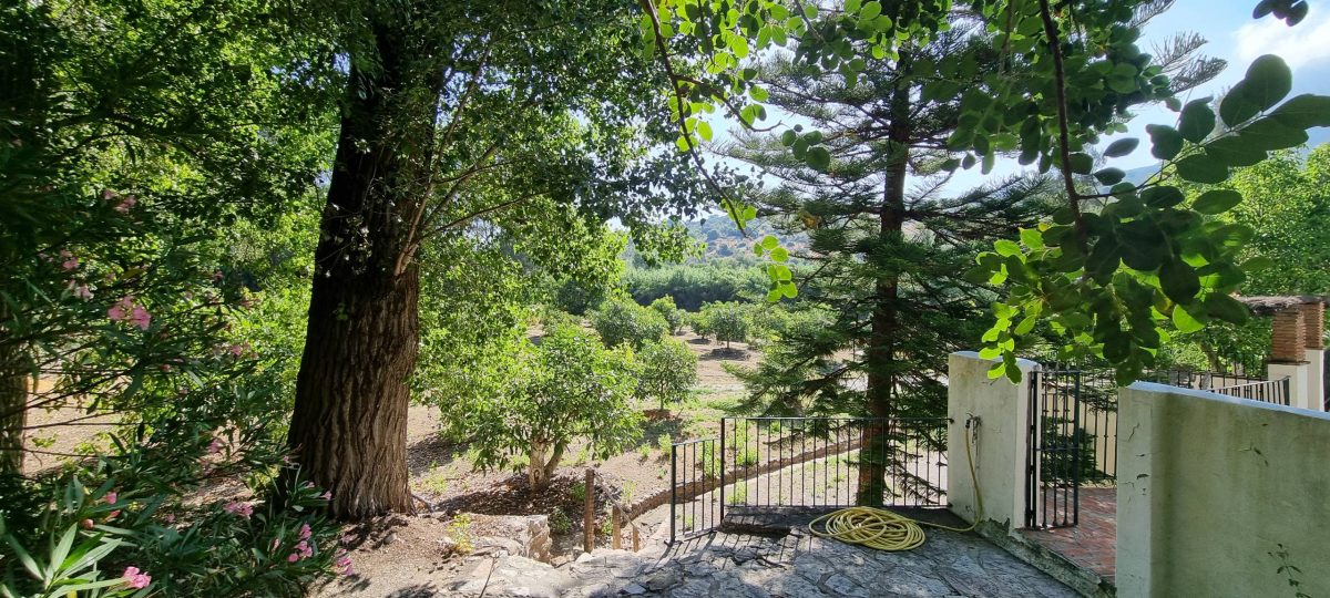 Commercial Property, For Sale