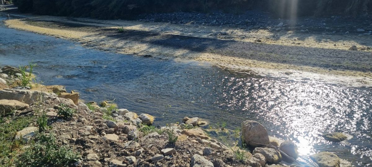 Commercial Property, For Sale