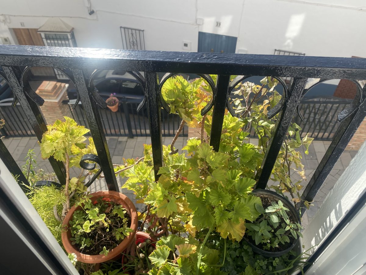 2 Bed, 1 Bath, HouseFor Sale, Olvera, Andalucia