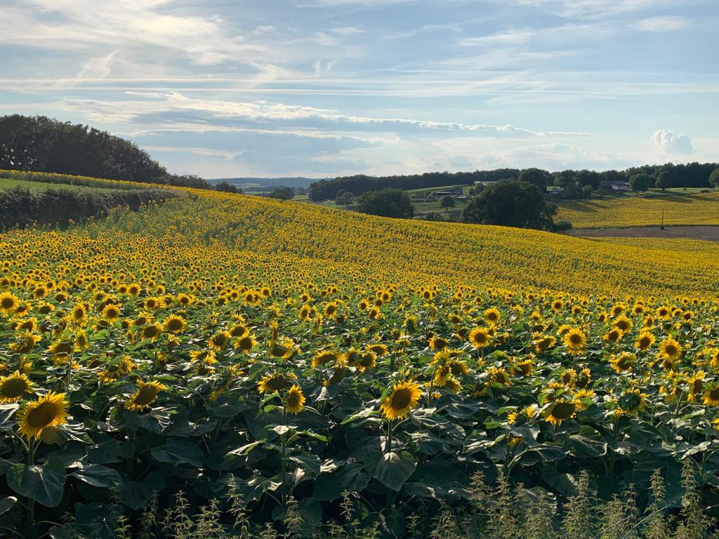 4 Bed, 2 Bath, HouseFor Sale, Saint-capraise-d-eymet, Dordogne, Aquitaine, 24500